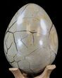 Septarian Dragon Egg Geode - Black Crystals #40936-3